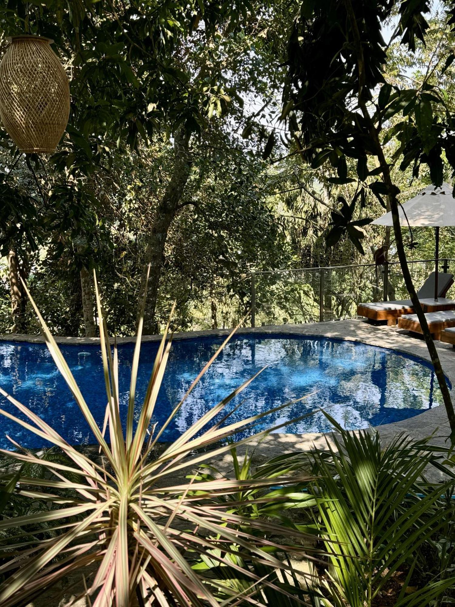 Coastline Mirissa Boutique Hotel And Spa מראה חיצוני תמונה