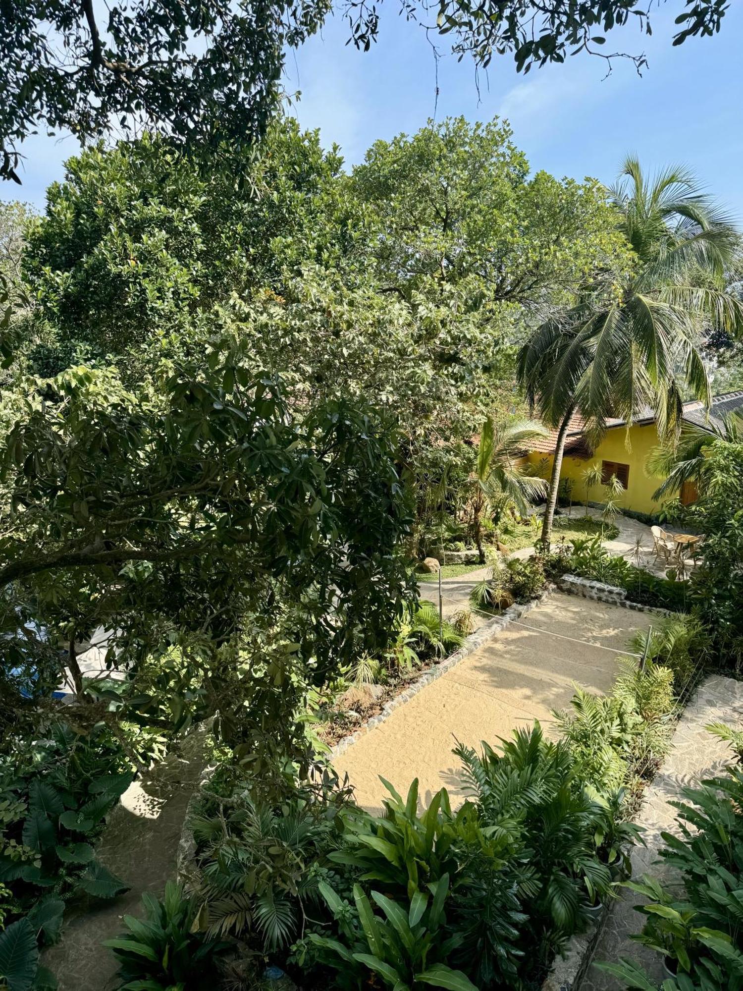 Coastline Mirissa Boutique Hotel And Spa מראה חיצוני תמונה