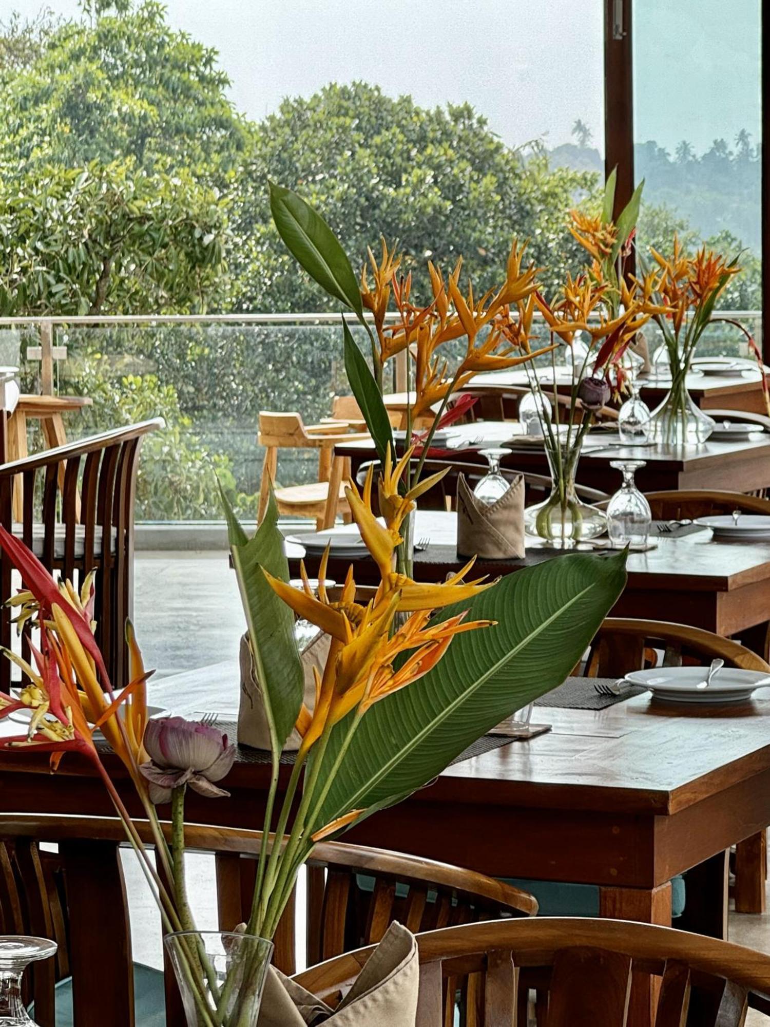 Coastline Mirissa Boutique Hotel And Spa מראה חיצוני תמונה